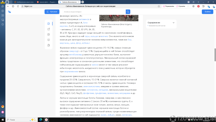 1757102127_VR08er.png